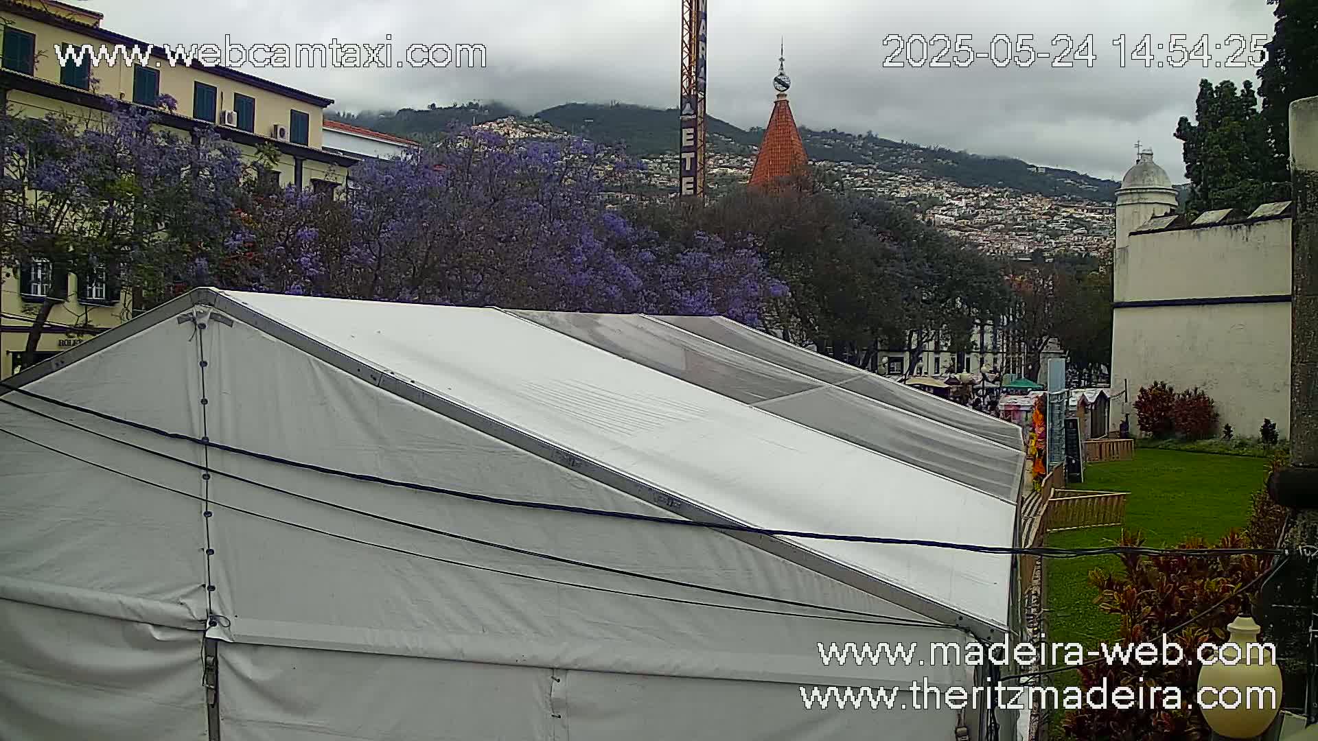 A large white tent sits in a town square, overlooking a city nestled in a valley under a cloudy sky, with purple jacaranda trees in bloom nearby.