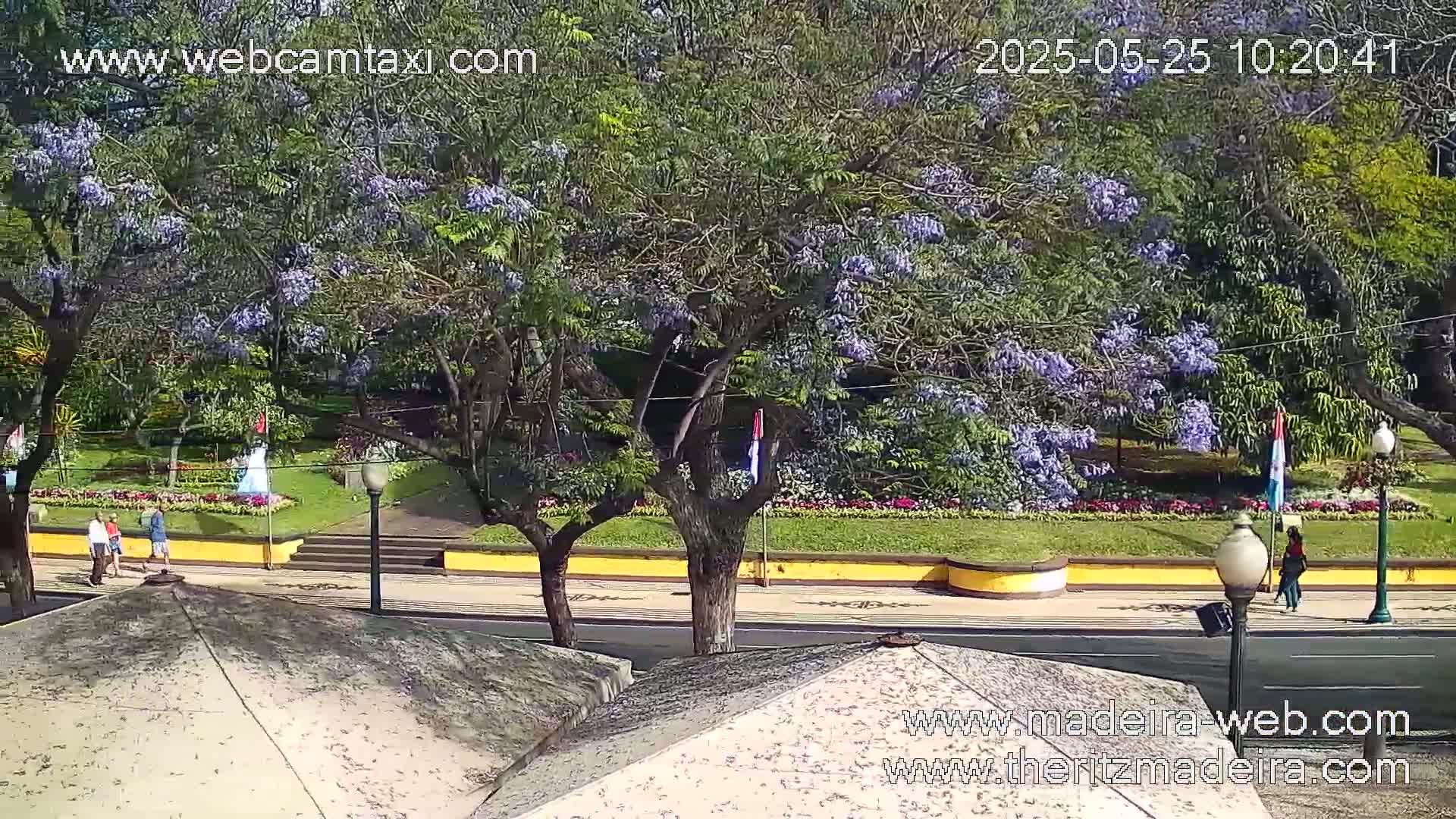 A sunny outdoor scene shows a park with flowering purple trees, a paved walkway, and several people walking near a yellow curb.