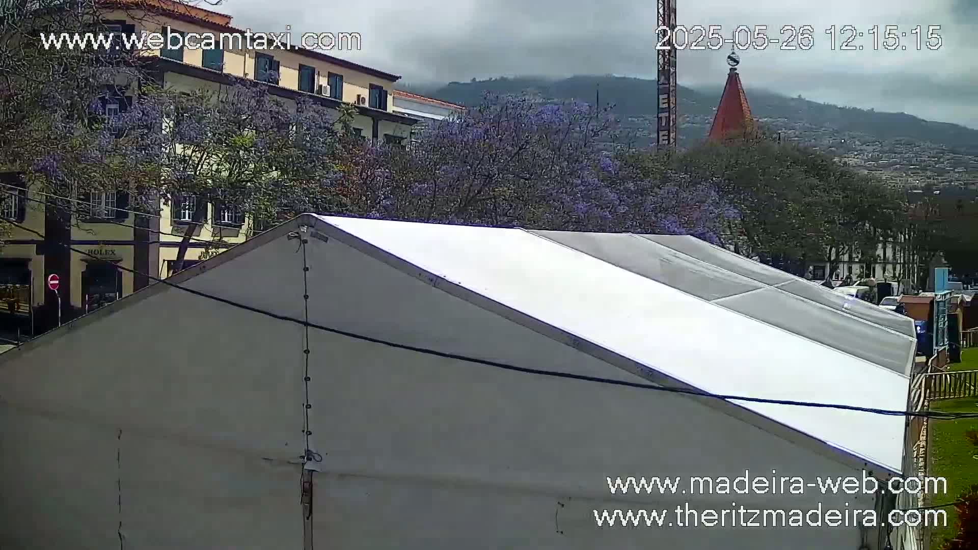 A large white tent is in the foreground, with a view of a town, purple flowering trees, and distant mountains under an overcast sky.