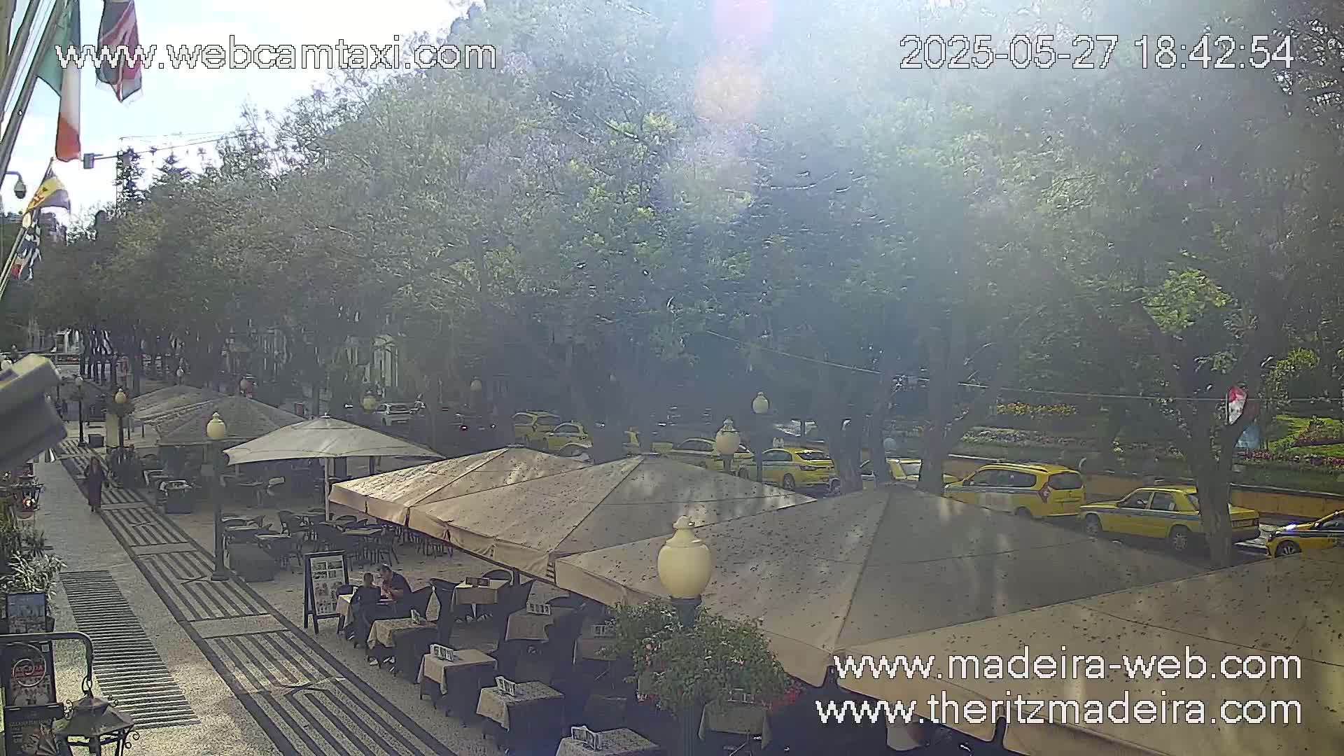 A hazy, sunny outdoor scene shows a pedestrian walkway lined with outdoor cafe seating under umbrellas, and a street with several yellow taxis parked along the side, all situated beneath a canopy of leafy trees.