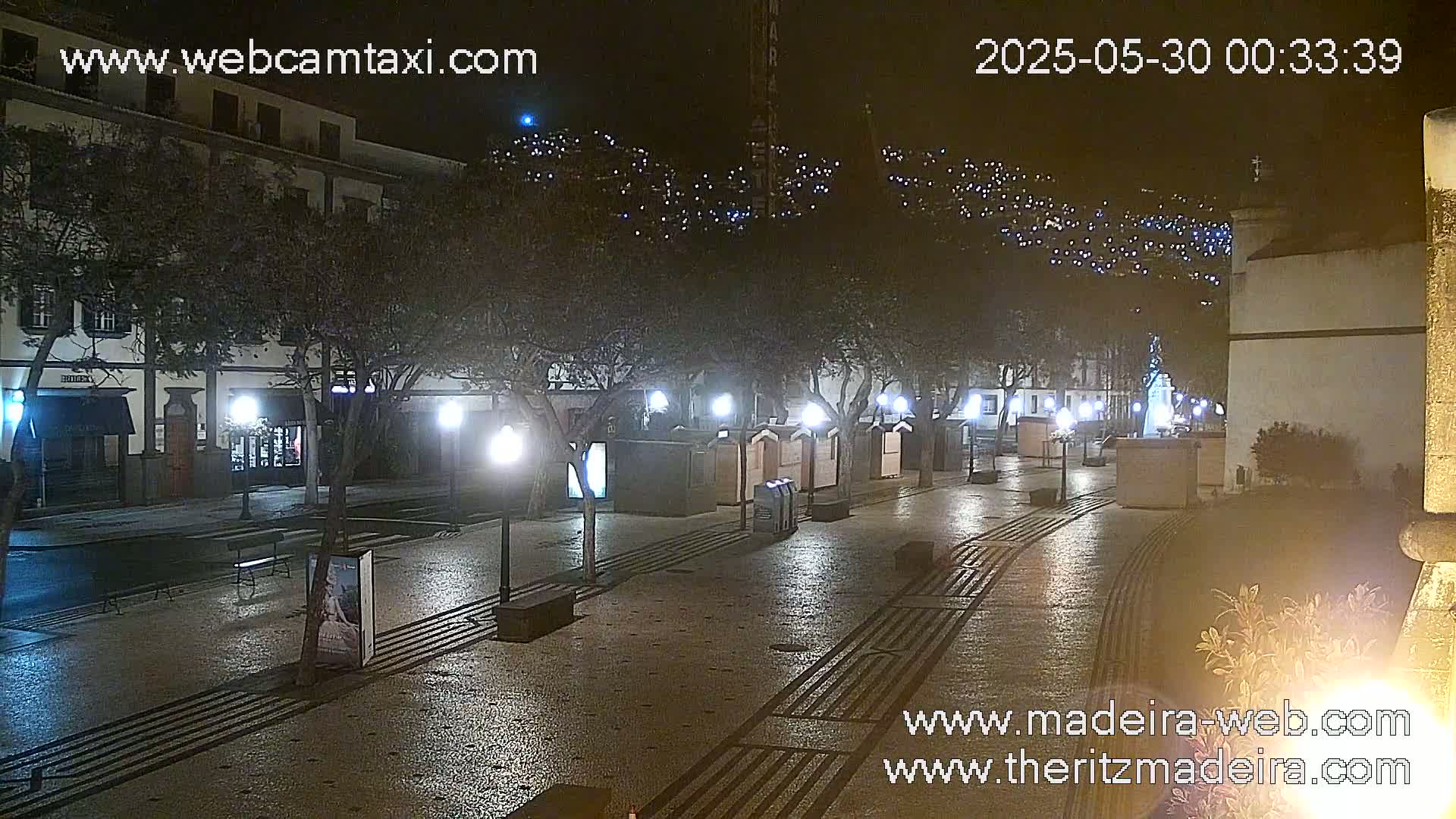 A wet, nighttime street scene shows a plaza with buildings, trees decorated with lights, and streetlights illuminating a paved area.