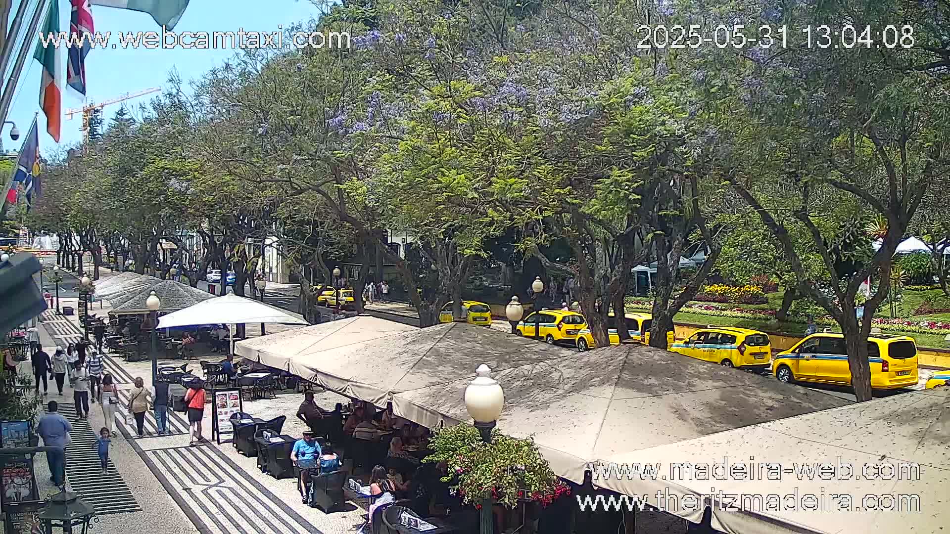 A sunny outdoor scene shows a tree-lined street with yellow taxis parked along the curb, and several outdoor cafes with patrons seated under umbrellas.