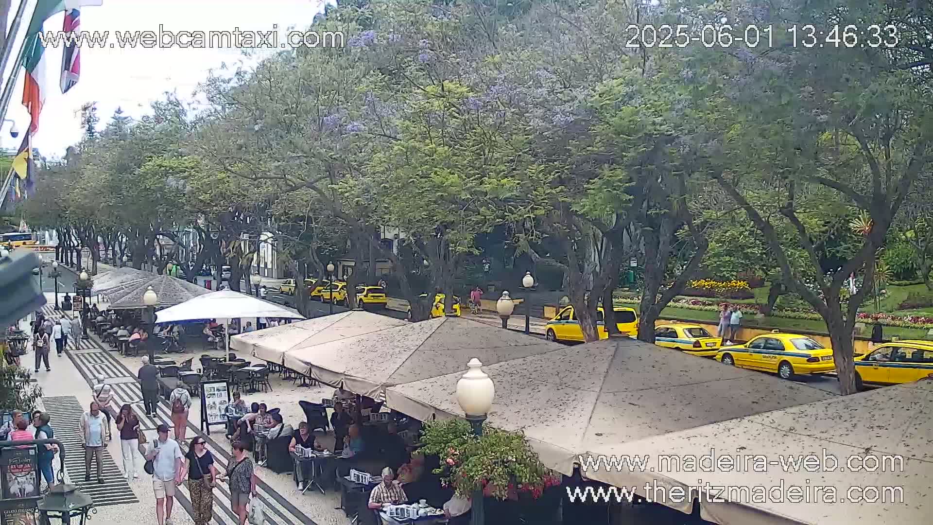 A sunny outdoor scene shows a tree-lined street with pedestrians and yellow taxis, several outdoor cafe umbrellas are set up along the sidewalk.