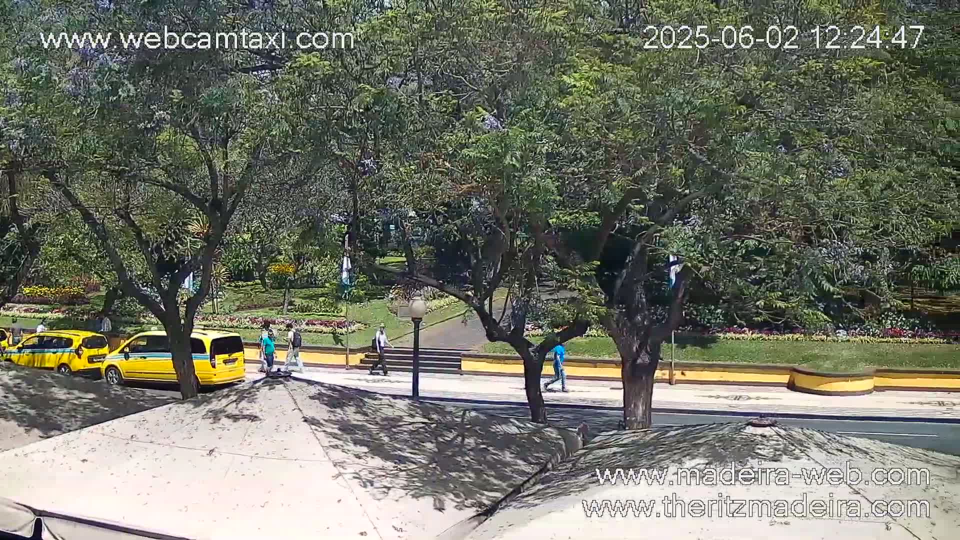 A sunny day shows several yellow taxis parked near a park with people walking on a paved path, beside a roadway.