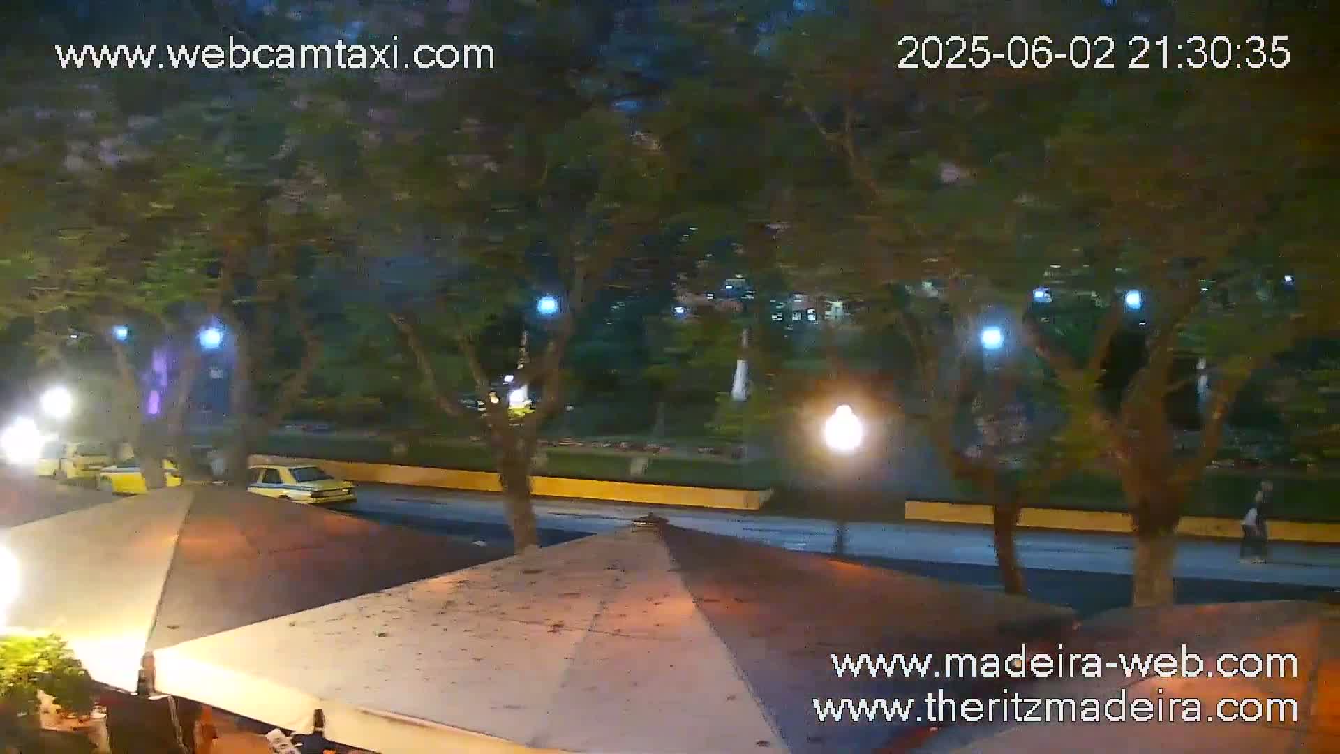 At night, under leafy trees illuminated by streetlights, two yellow cars drive past a street with outdoor patio umbrellas.
