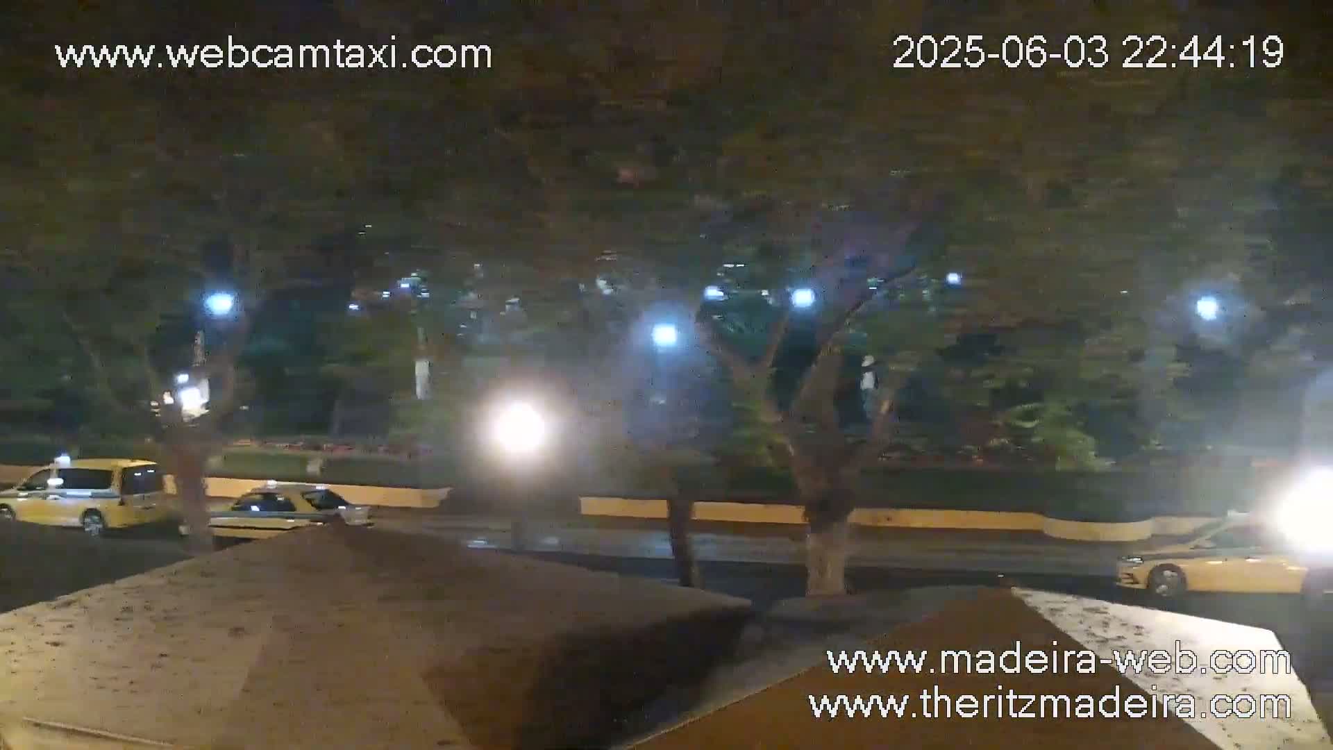 A nighttime, rain-slicked street scene shows several vehicles, including taxis, traveling under the canopy of trees illuminated by streetlights.