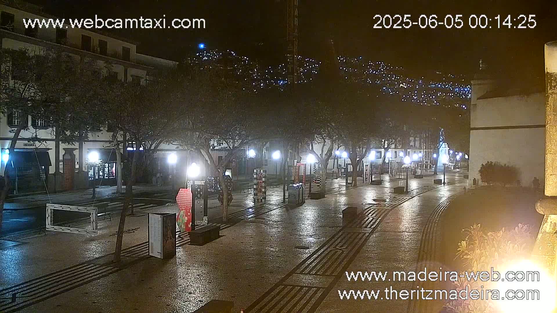 A wet, nighttime plaza with streetlights, trees, and buildings illuminated, featuring artwork displayed on the ground and along the sides.