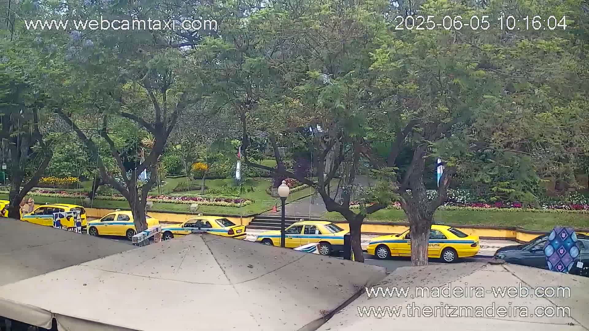 Several yellow taxis are parked along a curb next to a landscaped area with trees and flowers under an overcast sky.