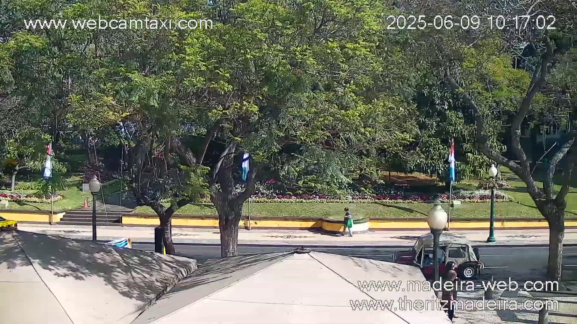 A sunny day shows a street scene with lush green trees, flowerbeds, and a few people walking near a park-like setting.