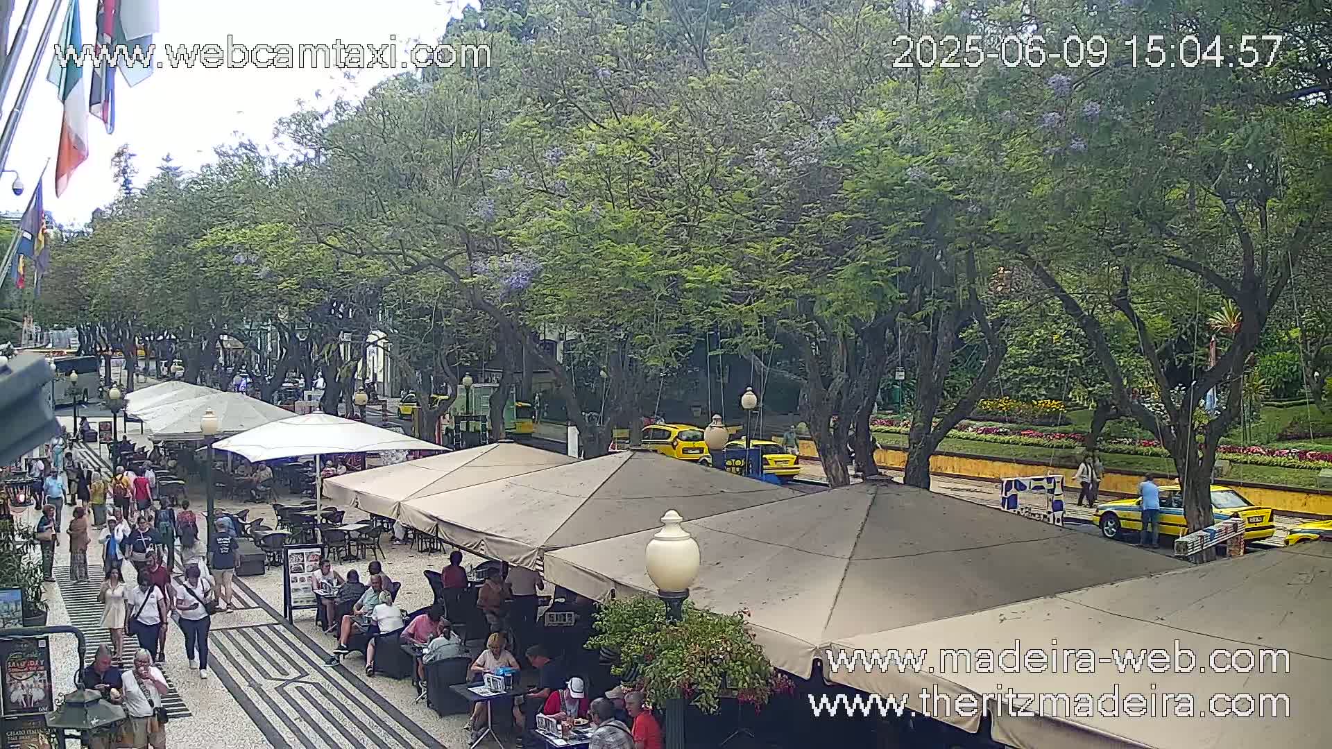 A street scene on a partly sunny day shows an outdoor cafe with people sitting at tables under umbrellas, lined along a pedestrian walkway next to a tree-lined street with yellow taxis parked.