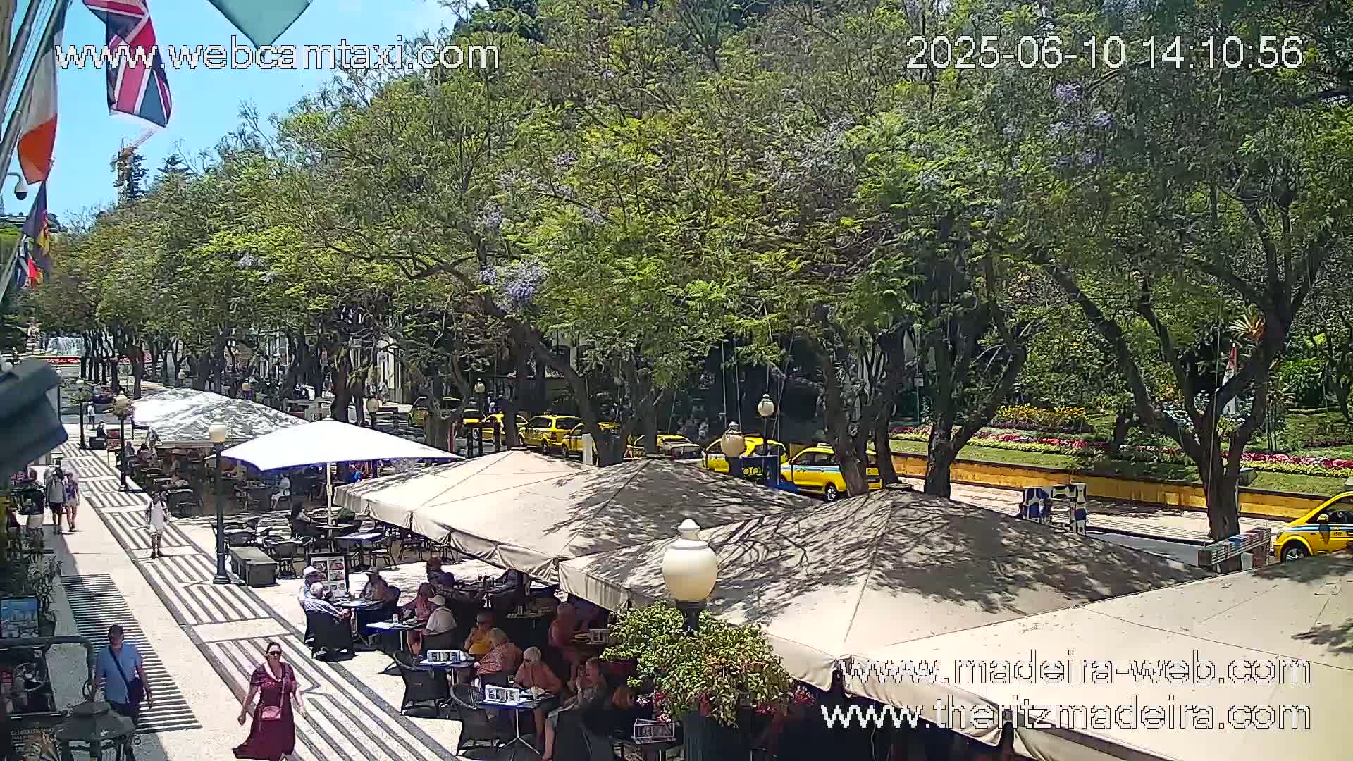 A sunny outdoor scene shows a pedestrian walkway lined with outdoor cafe seating under umbrellas, several yellow taxis parked along the street, and lush green trees shading the area.