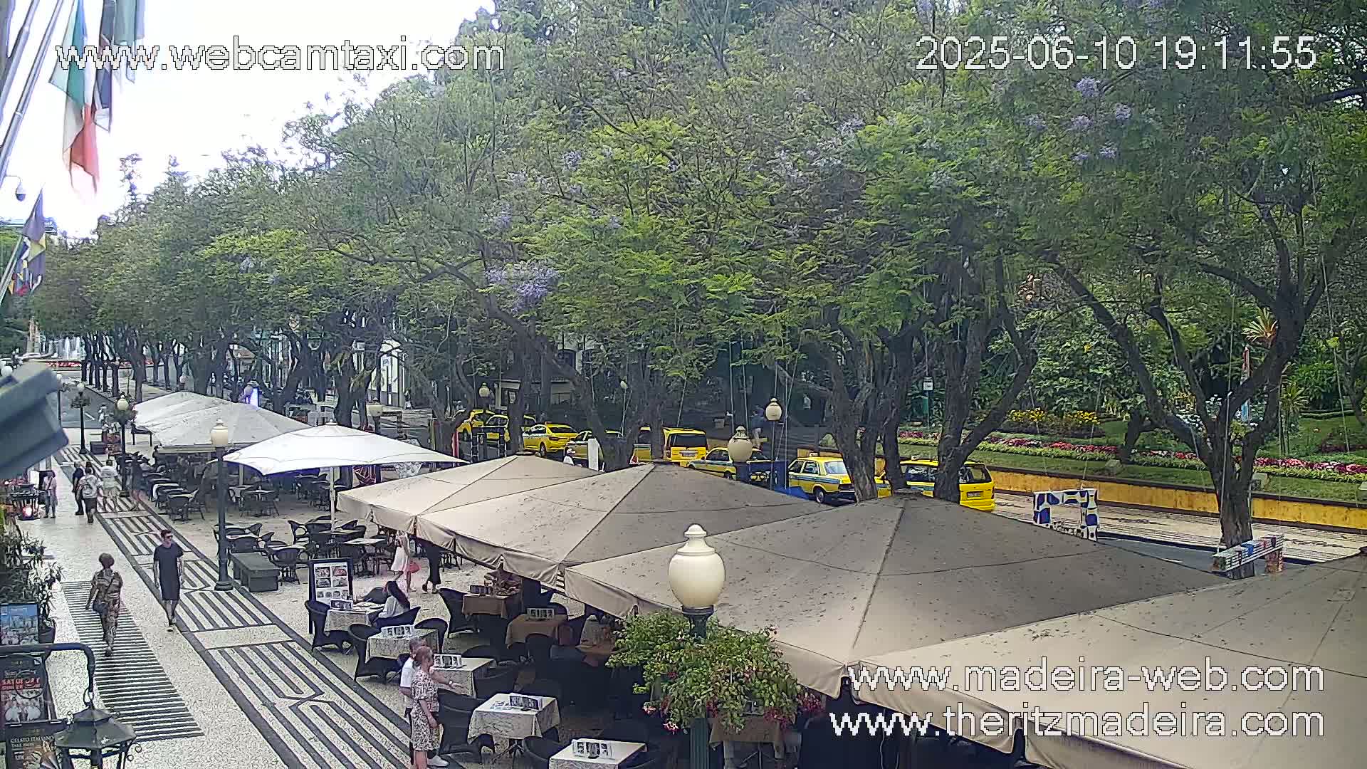 A street scene with outdoor seating under beige canopies, several yellow taxis parked along the curb, and many lush green trees lining a paved road.