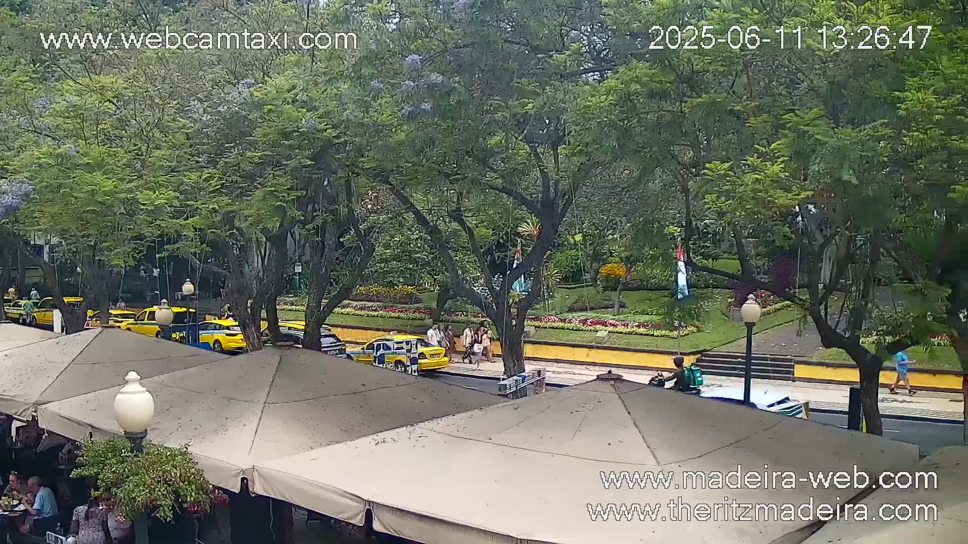 A view from above shows several yellow taxis parked along a tree-lined street next to a park with flower beds, under an overcast sky.