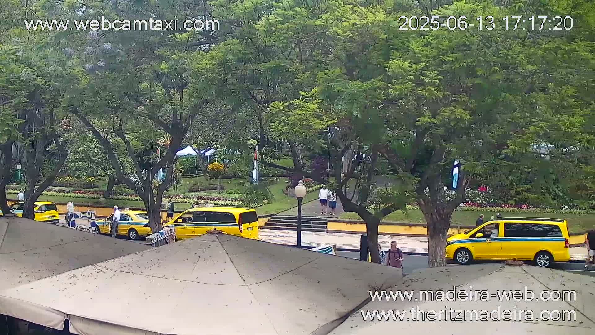 Several yellow taxis are parked near a park with lush green trees under an overcast sky.