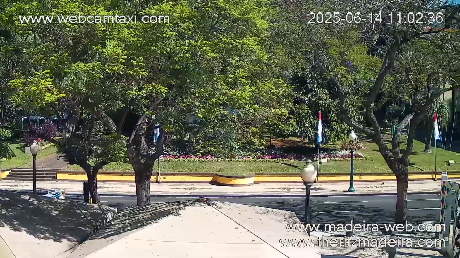 A sunny day reveals a city street scene with lush green trees lining a park with flowerbeds, separated from the road by a yellow curb.