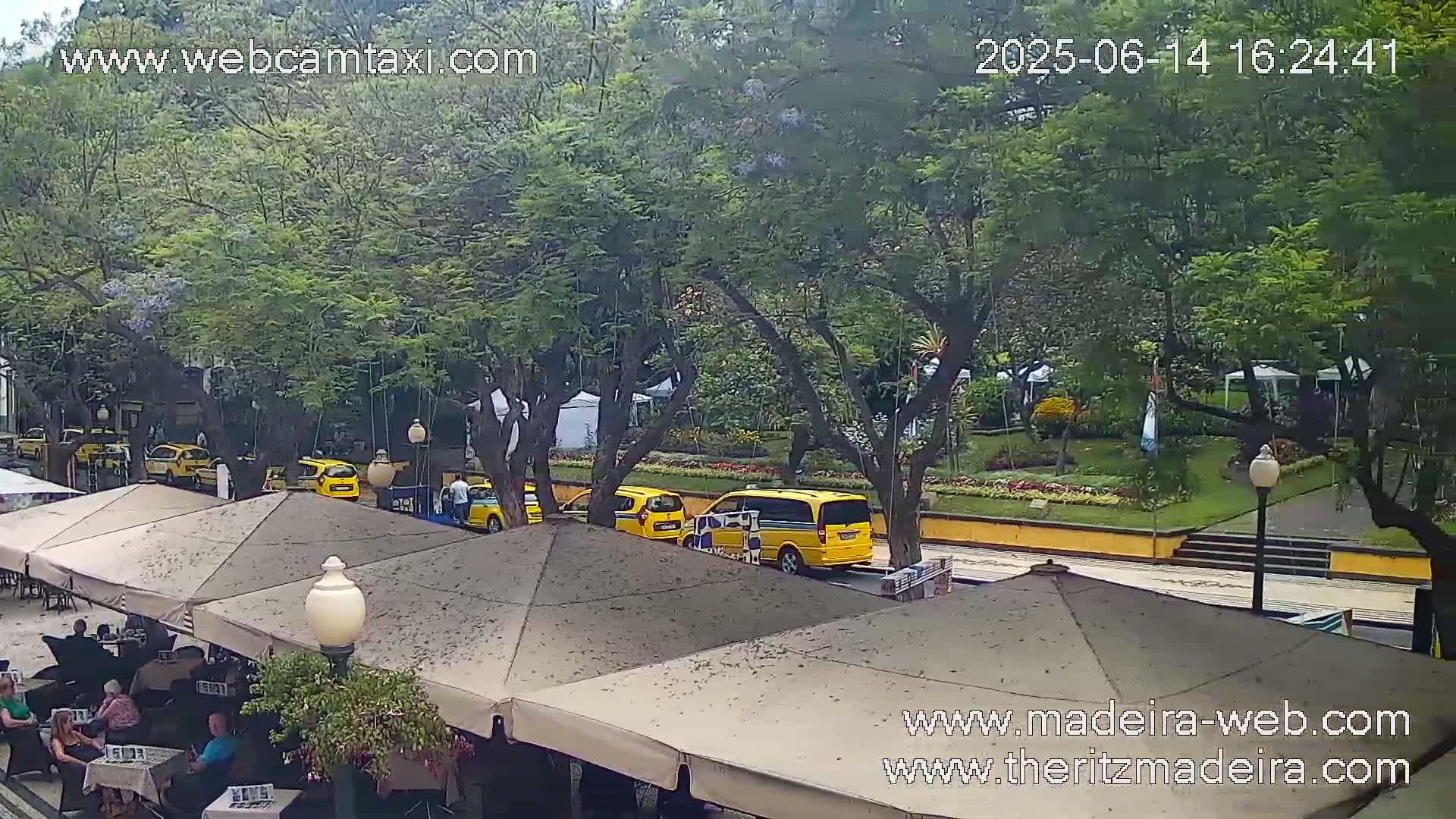 An outdoor café scene with several yellow taxis parked nearby, under a partly cloudy sky, surrounded by lush green trees and a well-maintained garden.