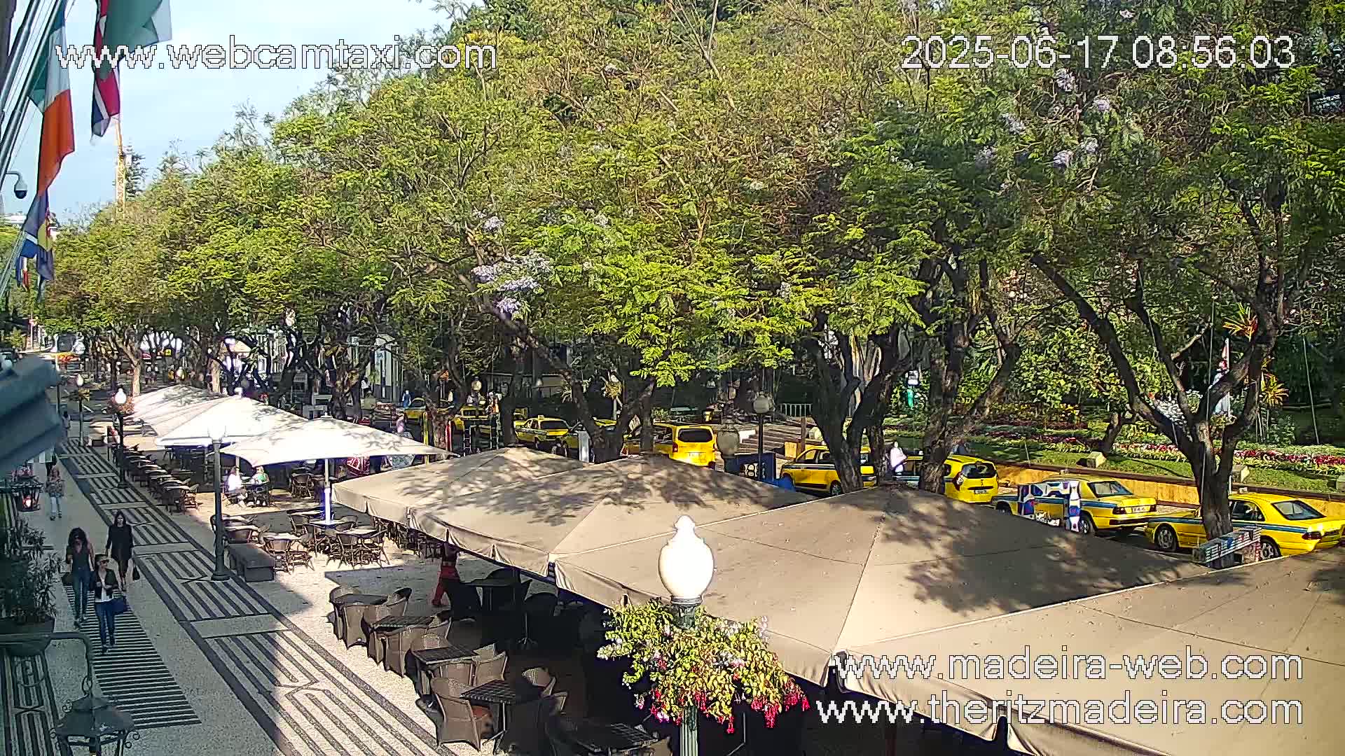 A sunlit outdoor cafe with several umbrellas sits beside a street lined with trees and yellow taxis.
