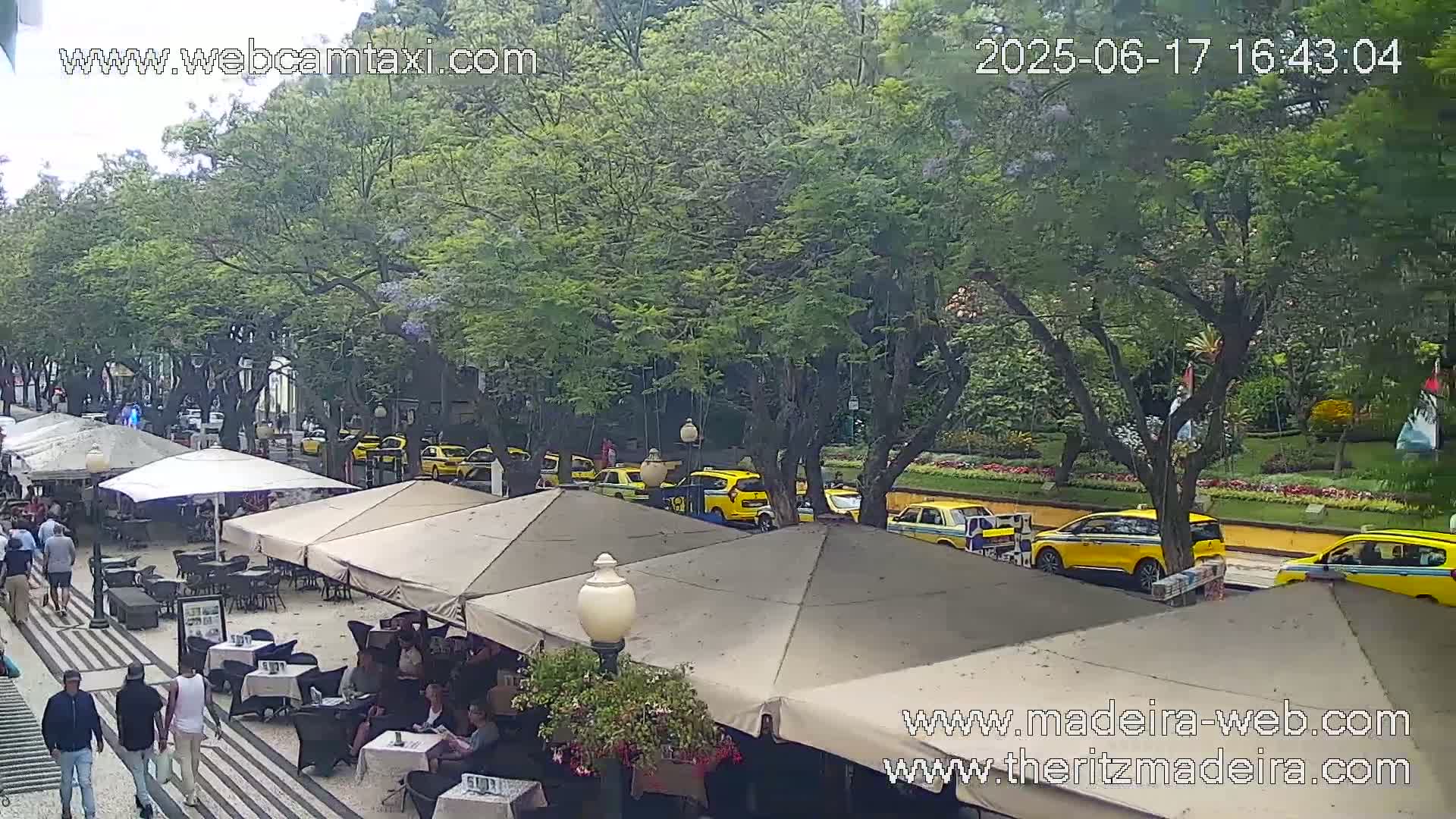 An outdoor cafe scene with several beige umbrellas and patrons seated at tables, situated alongside a street lined with lush green trees and yellow taxis under a partly cloudy sky.