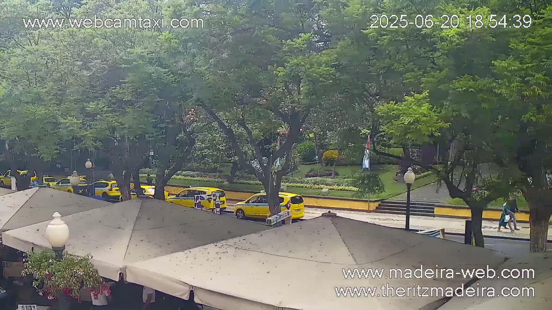 Several yellow taxis are parked along a tree-lined street next to an outdoor cafe with beige umbrellas, under an overcast sky.