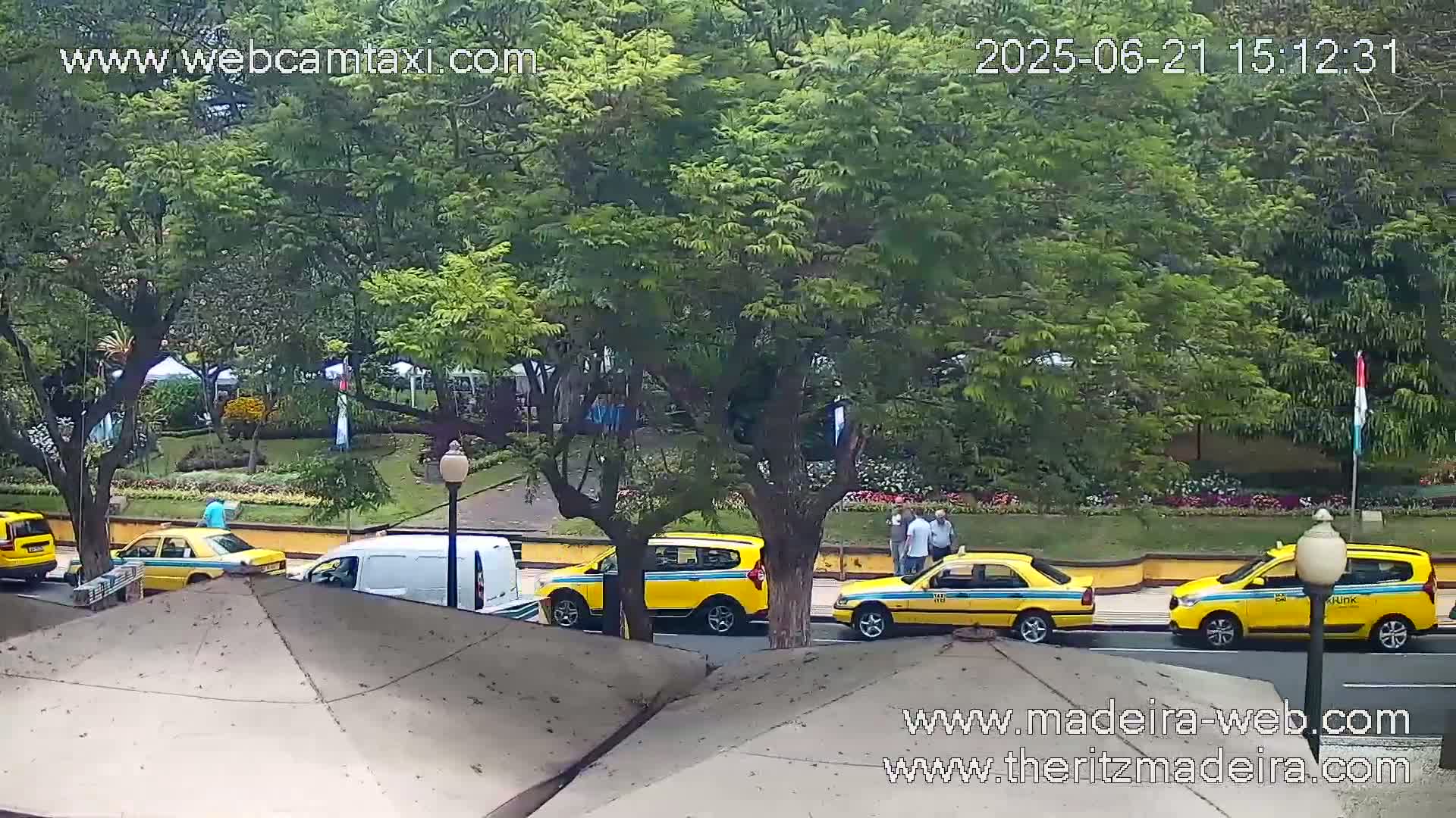 Several yellow taxis and other vehicles are parked along a street lined with lush green trees on a partly cloudy day.