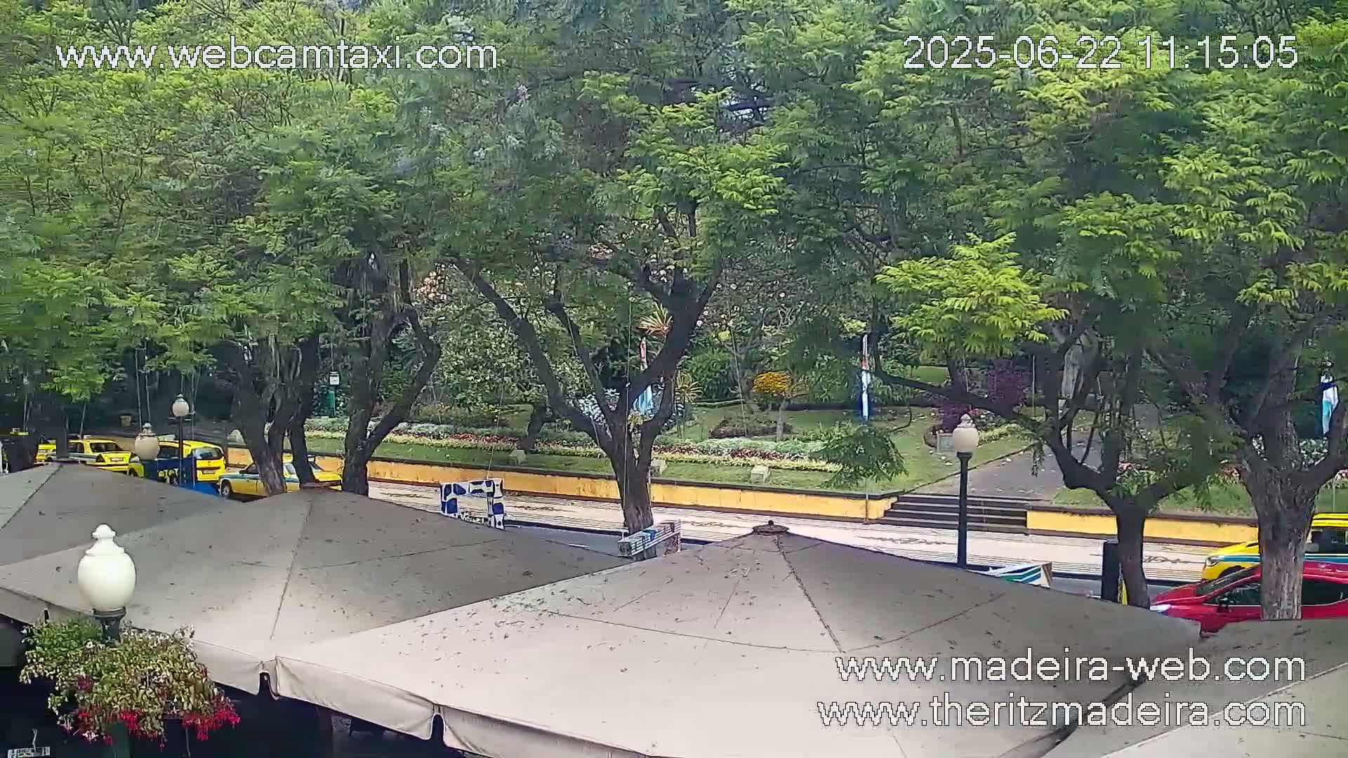 A view from above shows a park with lush green trees, flowers, and yellow taxis on a street, under an overcast sky.