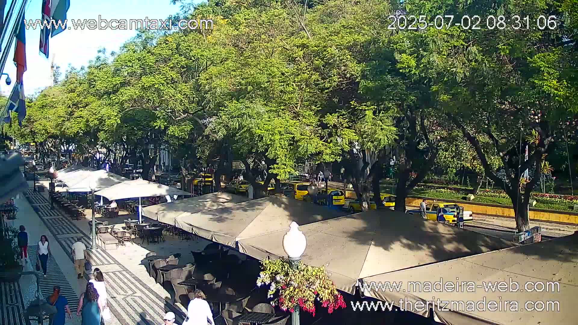 A sunny outdoor scene shows a paved pedestrian area with outdoor seating under umbrellas, alongside a street lined with leafy green trees and yellow taxis.
