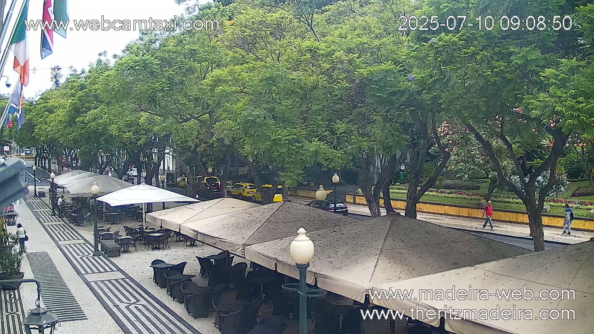 An outdoor cafe with beige umbrellas is situated on a patterned walkway under leafy green trees, with several cars parked nearby on a sunny day.