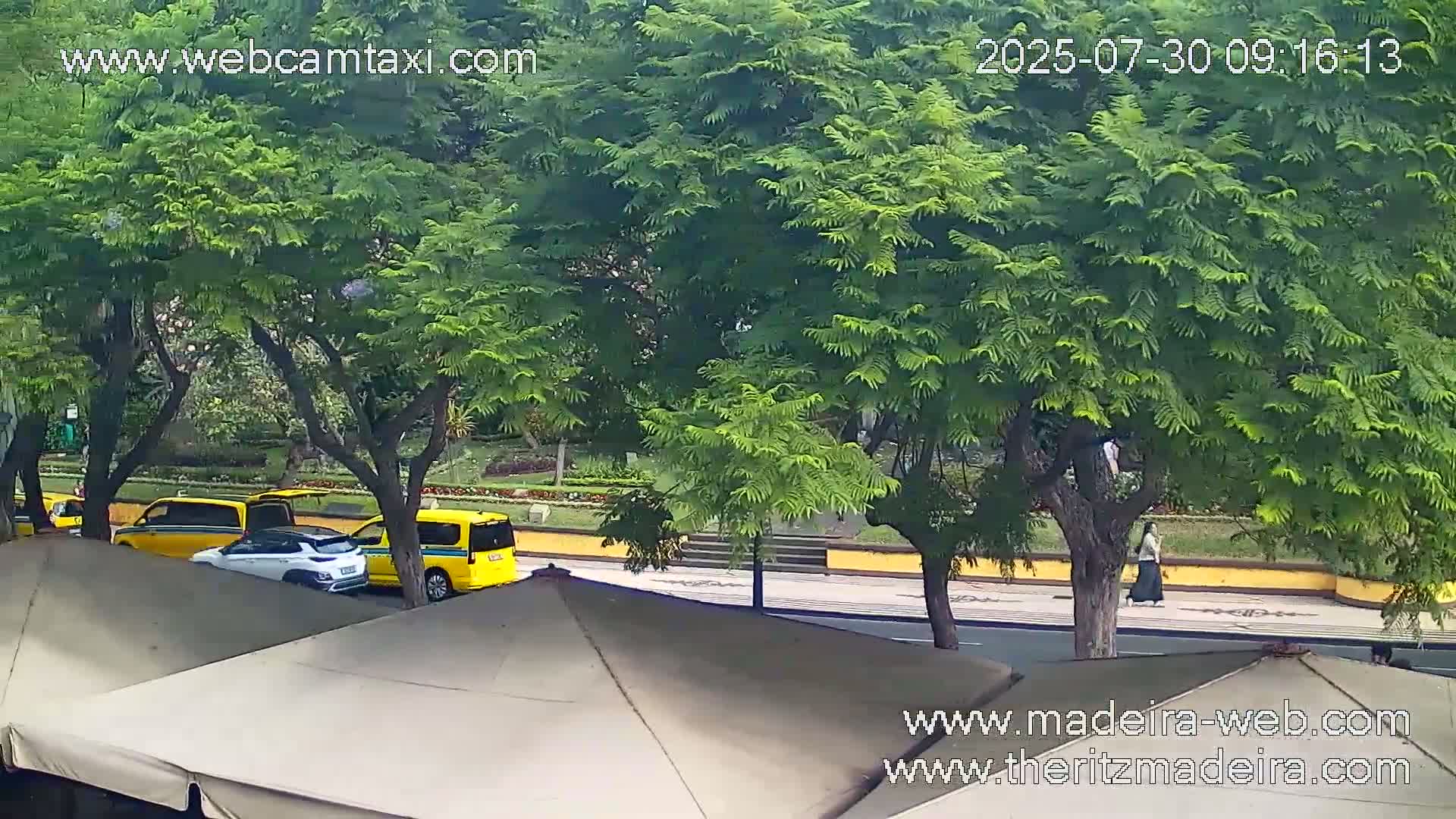 Ritz , Avenida Arriaga Avenue Live Cam - Funchal, Madeira, Portugal