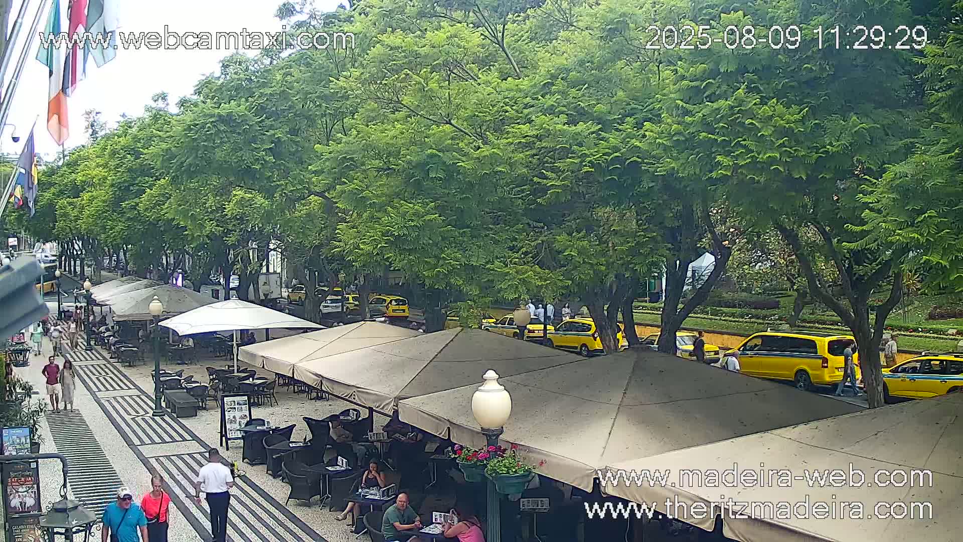 Ritz , Avenida Arriaga Avenue Live Cam - Funchal, Madeira, Portugal