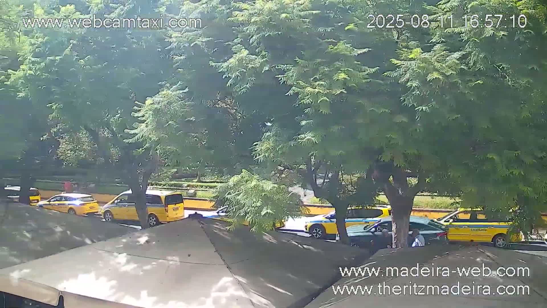 Ritz , Avenida Arriaga Avenue Live Cam - Funchal, Madeira, Portugal