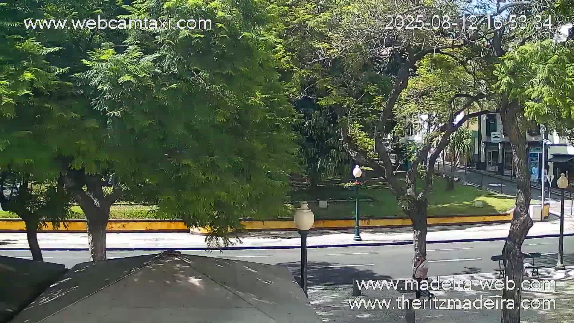 Ritz , Avenida Arriaga Avenue Live Cam - Funchal, Madeira, Portugal