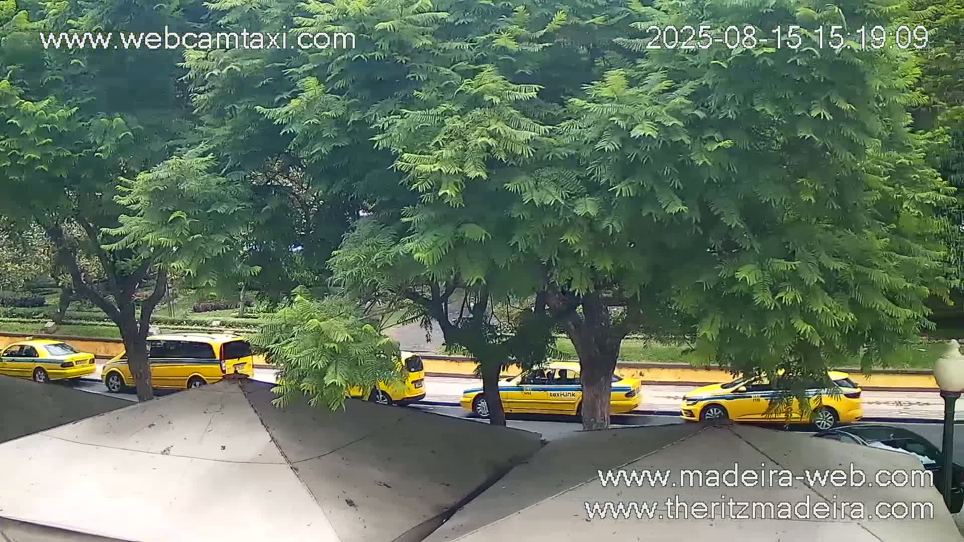 Ritz , Avenida Arriaga Avenue Live Cam - Funchal, Madeira, Portugal