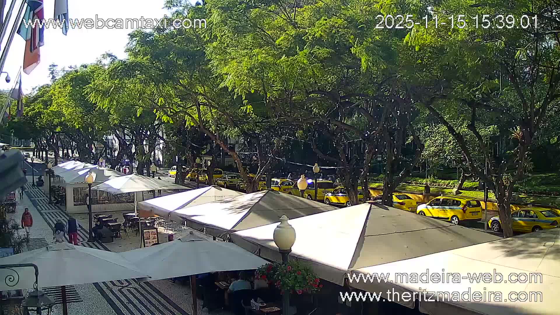 Ritz , Avenida Arriaga Avenue Live Cam - Funchal, Madeira, Portugal