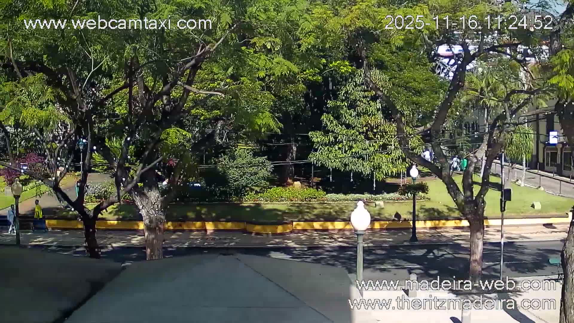 Ritz , Avenida Arriaga Avenue Live Cam - Funchal, Madeira, Portugal