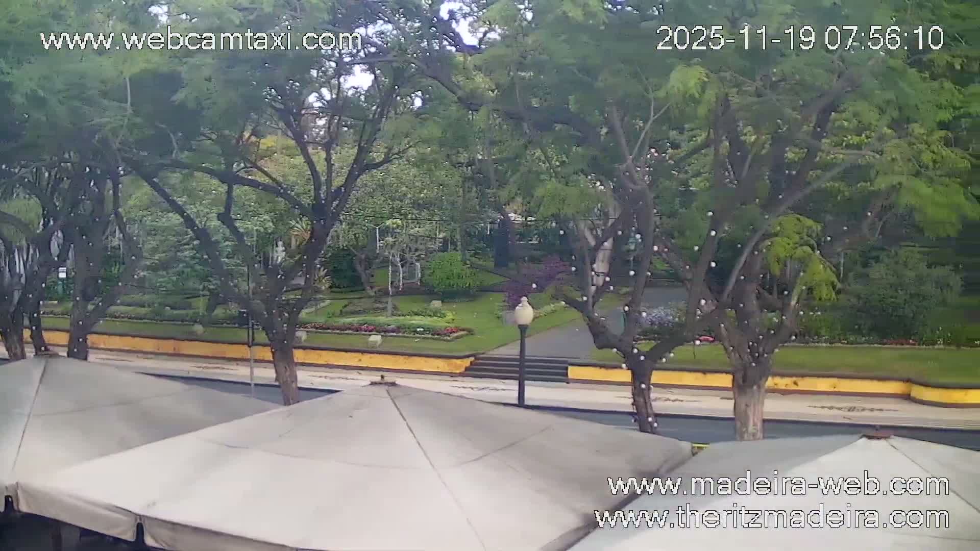 Ritz , Avenida Arriaga Avenue Live Cam - Funchal, Madeira, Portugal