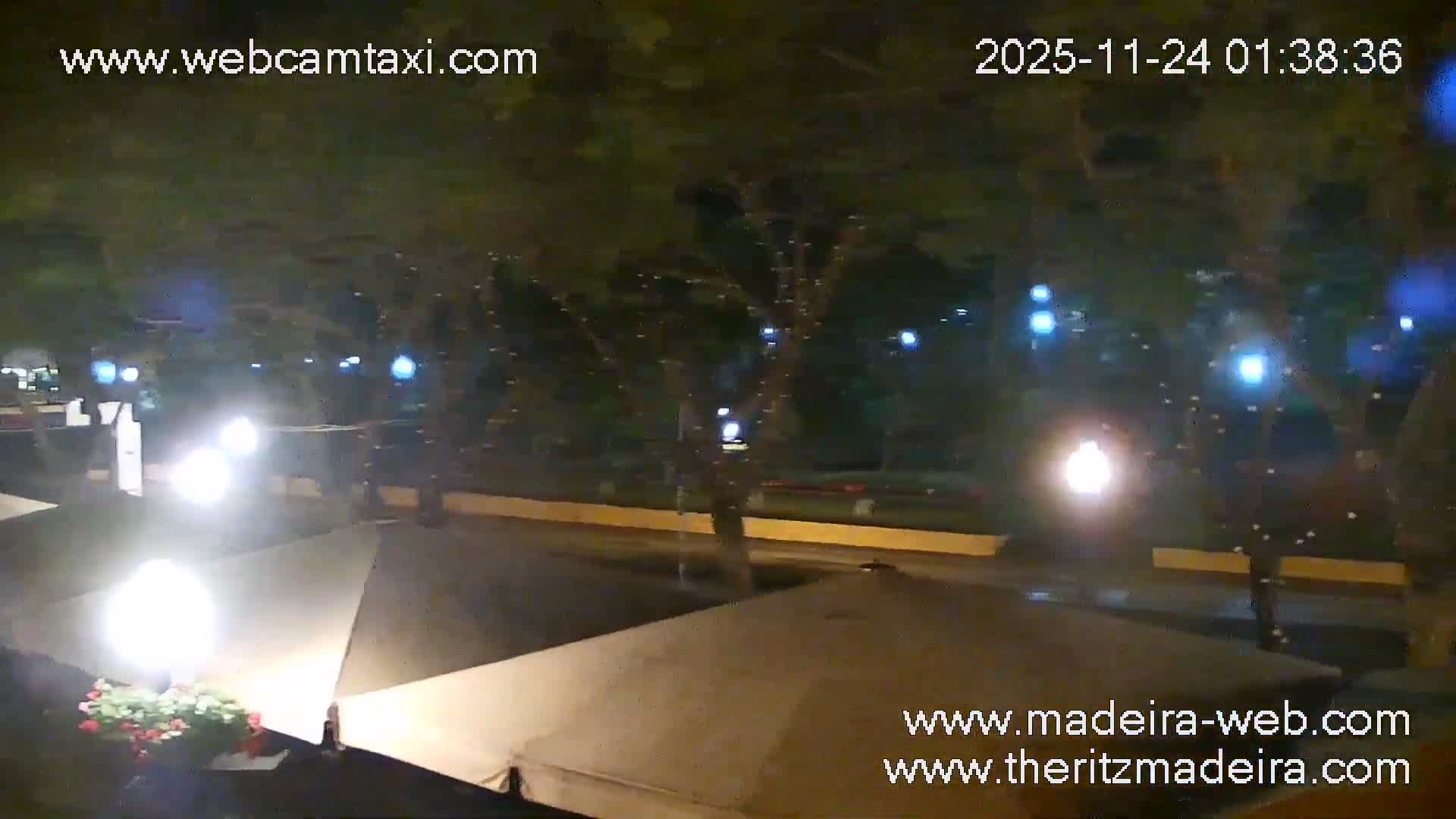 Ritz , Avenida Arriaga Avenue Live Cam - Funchal, Madeira, Portugal