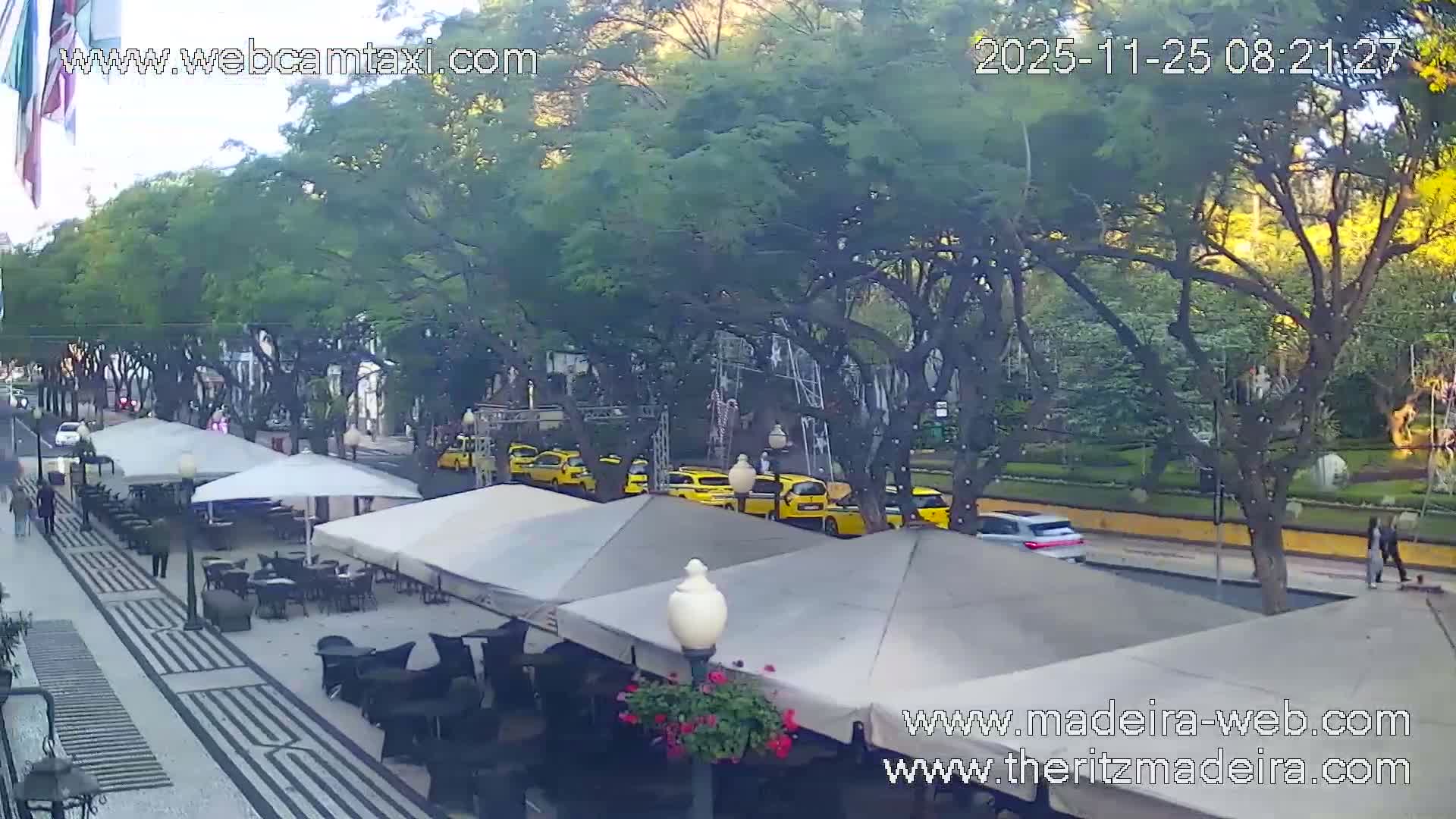 A bustling street scene unfolds under a clear sky, featuring a tree-lined boulevard with multiple outdoor cafes, numerous yellow taxis parked along the curb, and a few pedestrians strolling on the patterned walkway.
