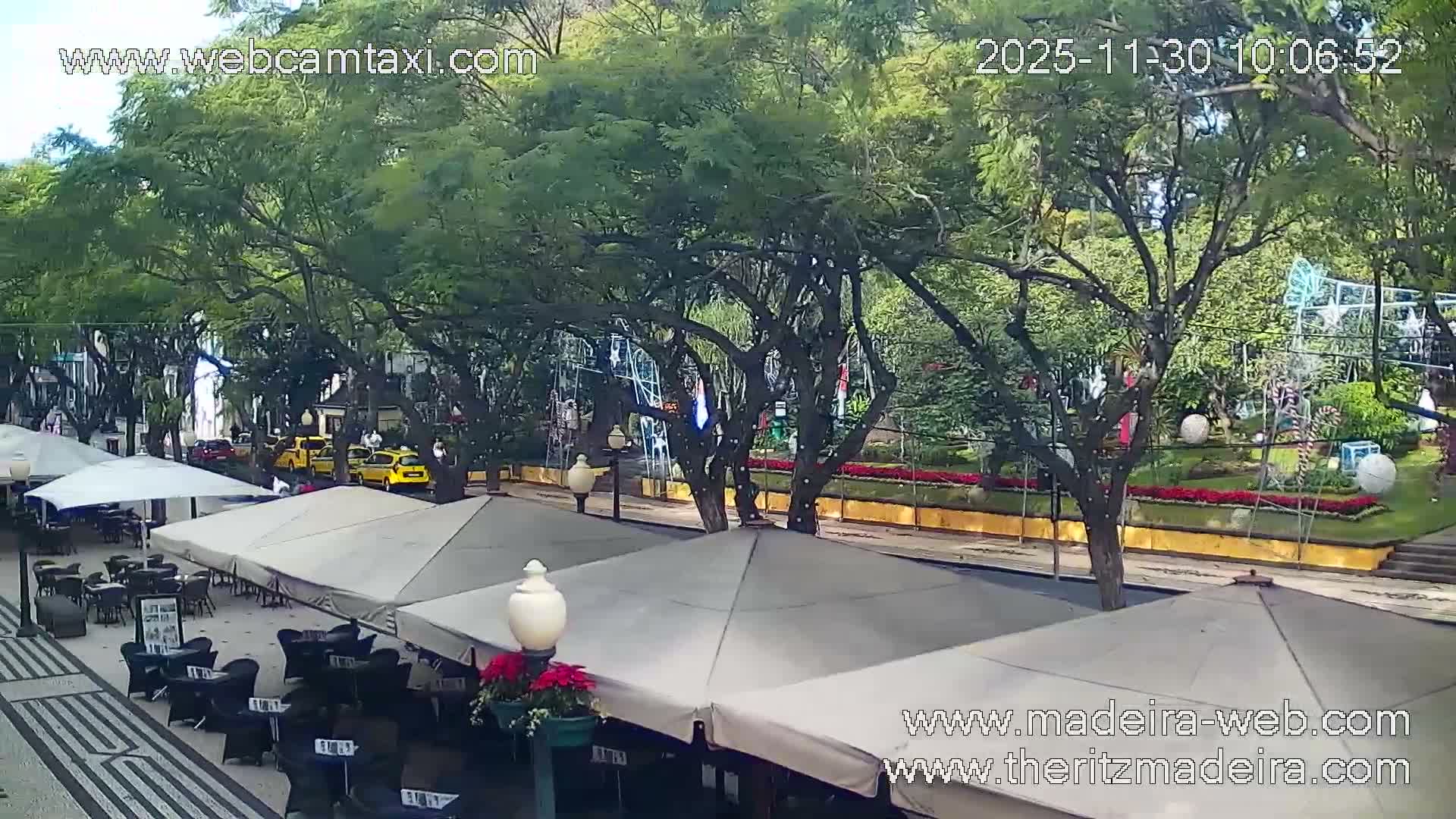 An outdoor cafe with numerous tables and umbrellas lines a patterned pedestrian area next to a street with yellow taxis, overlooking a lush park adorned with festive decorations under a clear, sunny sky.