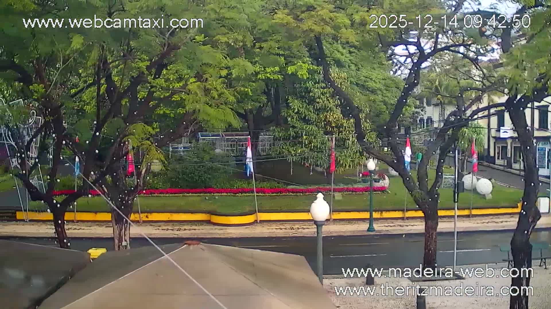 A vibrantly lit outdoor promenade is seen at night, with trees heavily decorated in white string lights, illuminating covered cafe seating and a glistening street with parked yellow taxis, under clear skies.