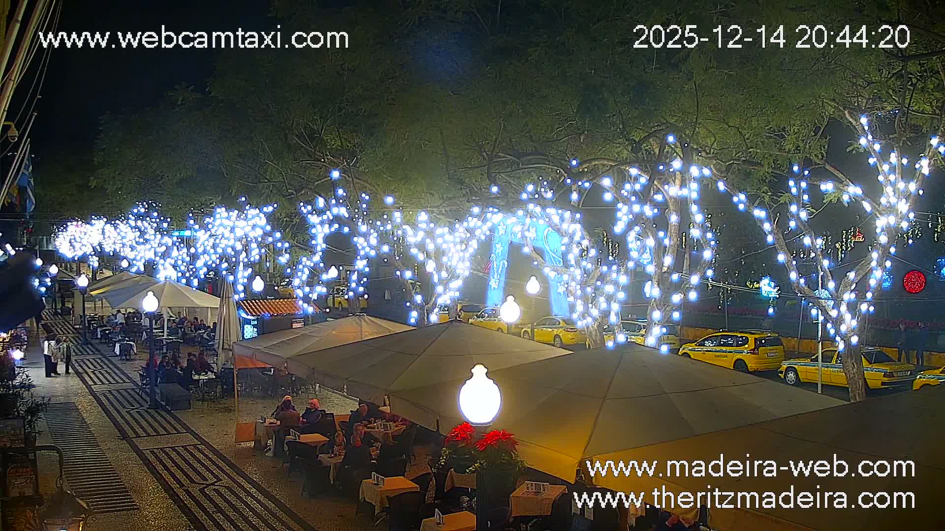 A vibrantly lit outdoor promenade is seen at night, with trees heavily decorated in white string lights, illuminating covered cafe seating and a glistening street with parked yellow taxis, under clear skies.