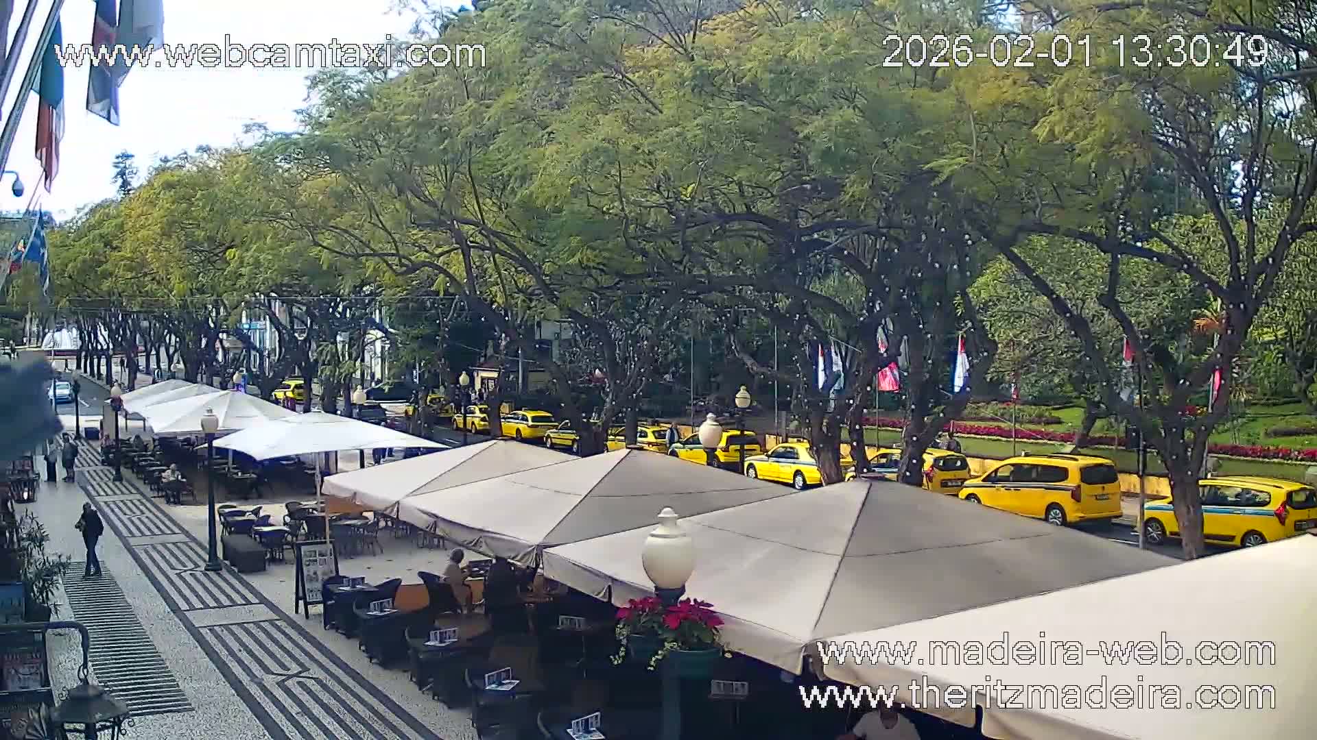 Ritz , Avenida Arriaga Avenue Live Cam - Funchal, Madeira, Portugal