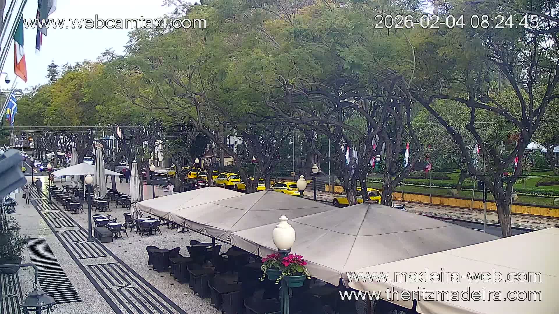 Ritz , Avenida Arriaga Avenue Live Cam - Funchal, Madeira, Portugal