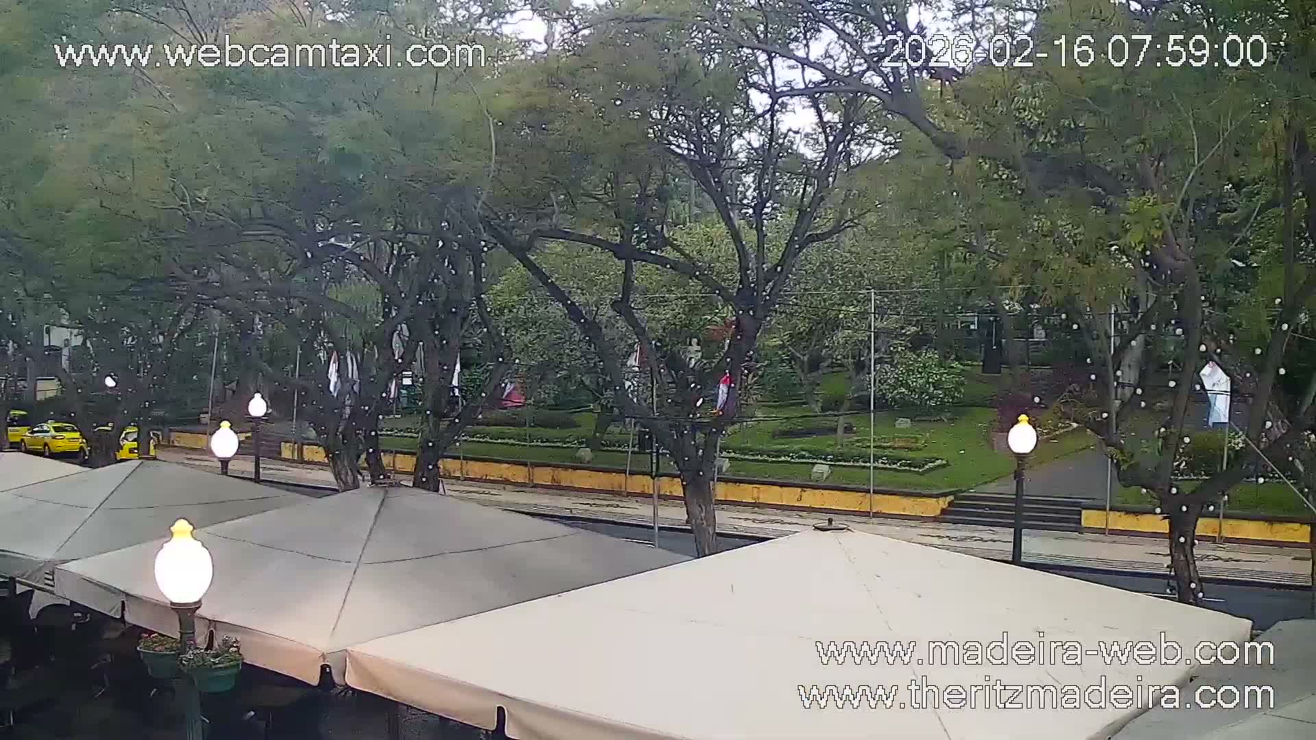 Ritz , Avenida Arriaga Avenue Live Cam - Funchal, Madeira, Portugal