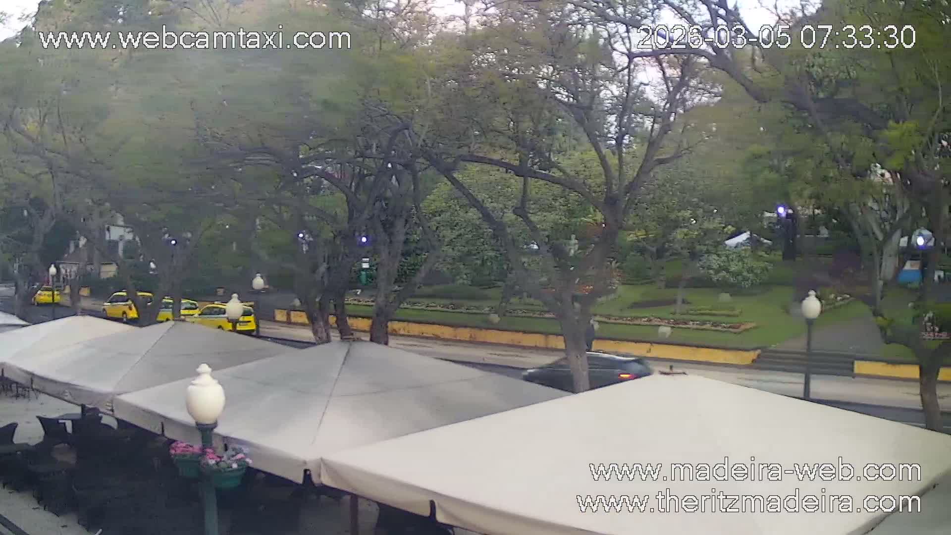 Ritz , Avenida Arriaga Avenue Live Cam - Funchal, Madeira, Portugal