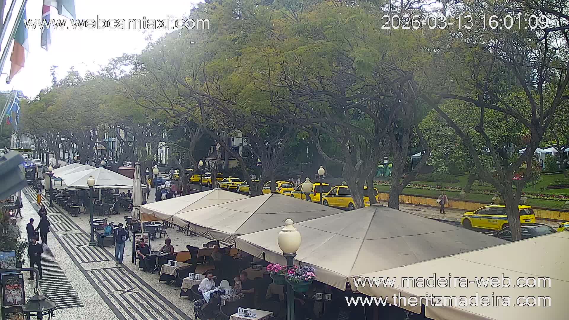 Ritz , Avenida Arriaga Avenue Live Cam - Funchal, Madeira, Portugal