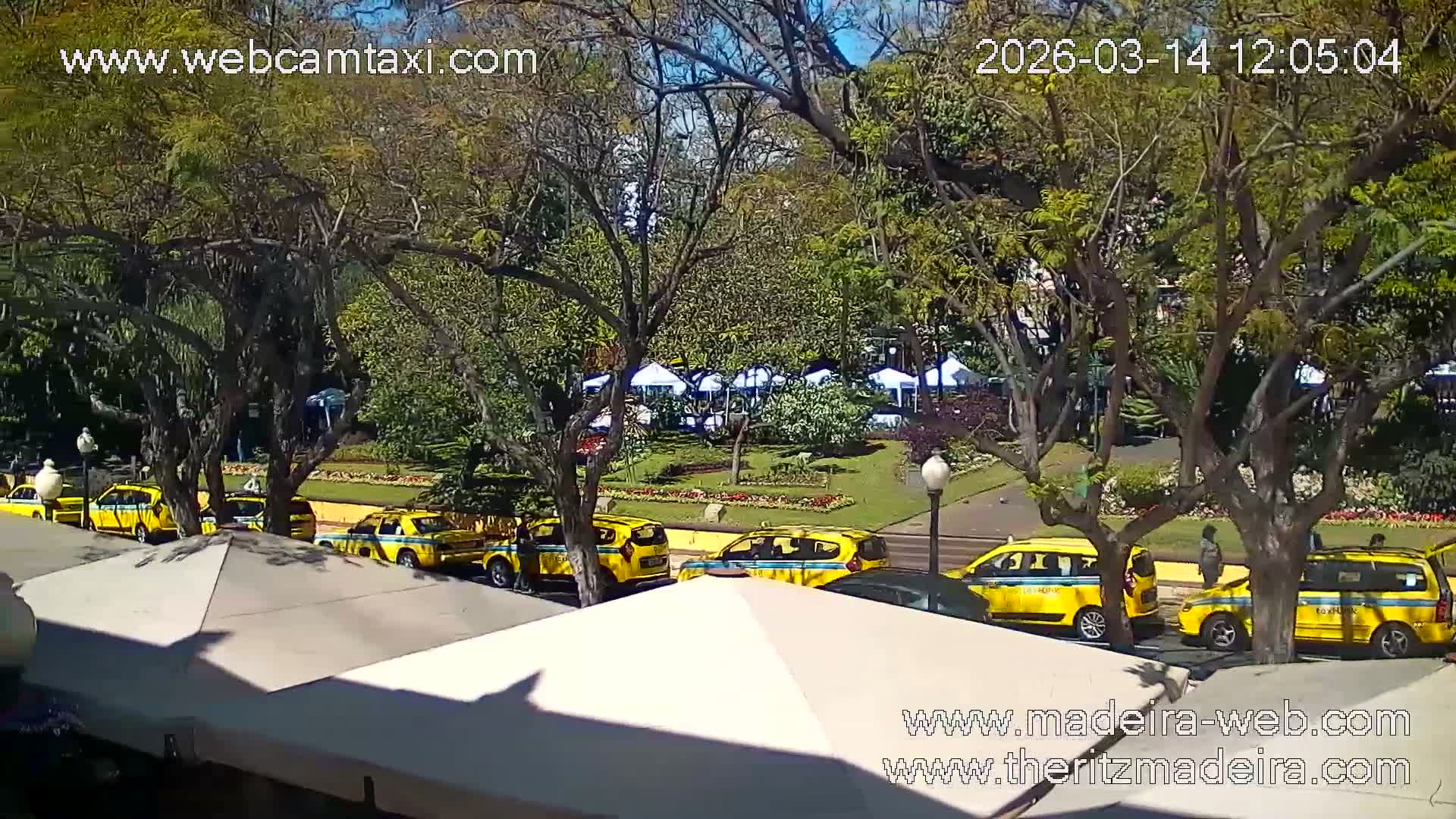 Ritz , Avenida Arriaga Avenue Live Cam - Funchal, Madeira, Portugal