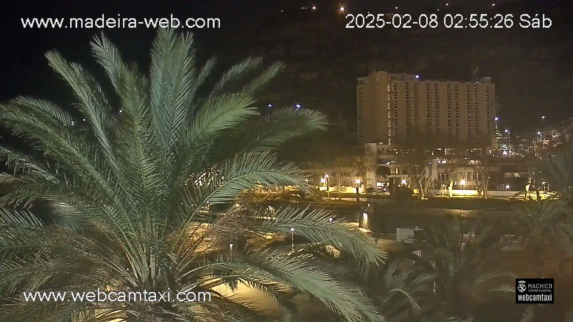 A nighttime view of palm trees in the foreground with a tall building and other structures illuminated in the background under a clear, dark sky.