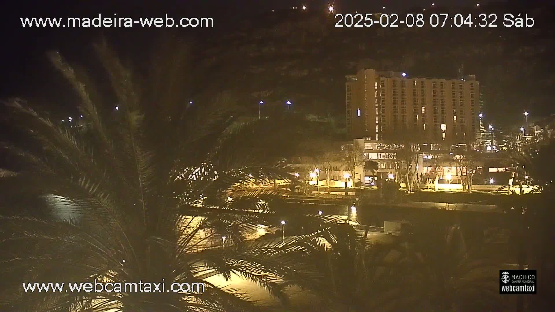 A nighttime view of a multi-story building illuminated, palm trees in the foreground, and a dark, calm body of water in the mid-ground.