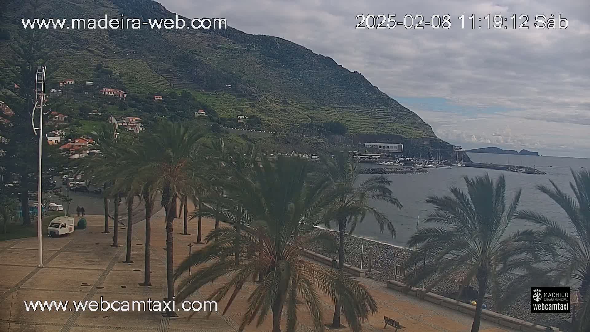 A coastal scene with overcast skies shows a calm ocean, palm trees lining a paved walkway, and a hill covered in terraced greenery in the background.