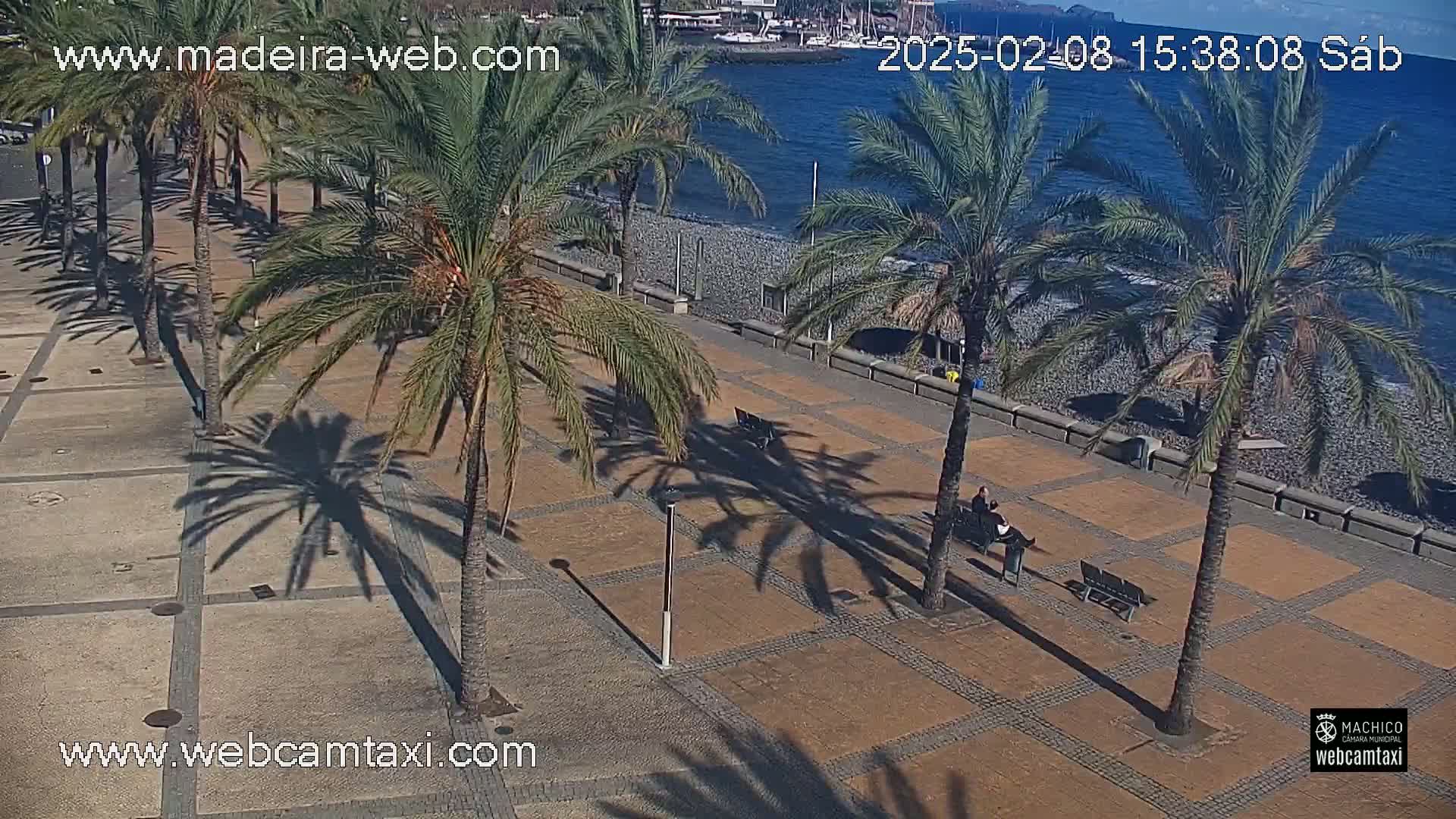 A paved plaza with palm trees and benches overlooks a pebble beach and calm ocean under a mostly sunny sky.